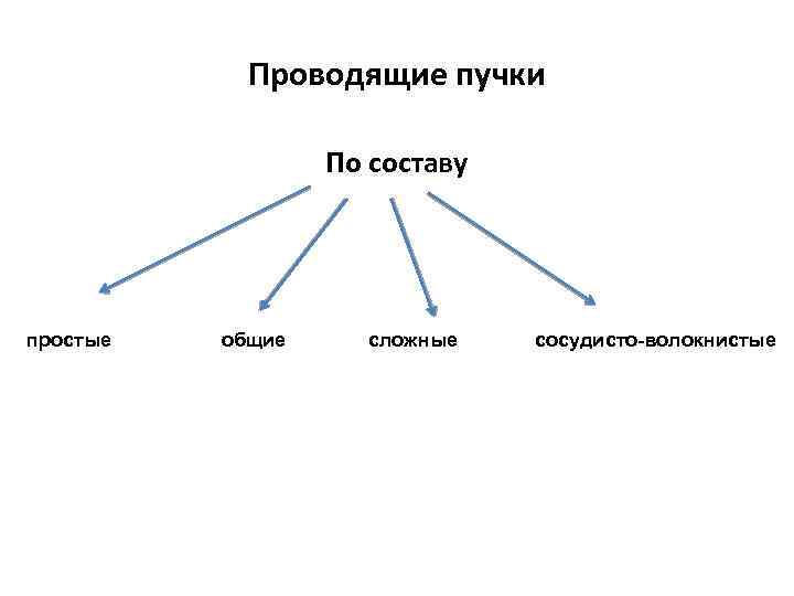 Проводящие пучки По составу простые общие сложные сосудисто-волокнистые 