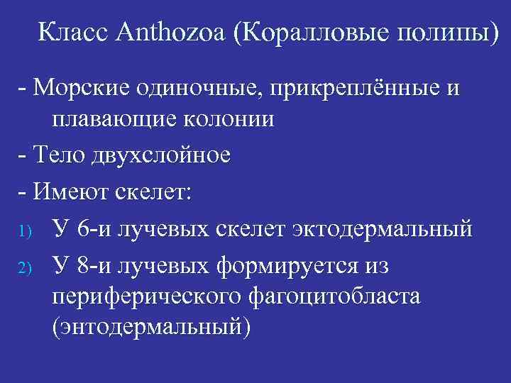 Класс Anthozoa (Коралловые полипы) - Морские одиночные, прикреплённые и плавающие колонии - Тело двухслойное