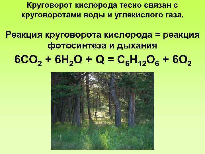 Круговорот кислорода тесно связан с круговоротами воды и углекислого газа. Реакция круговорота кислорода =