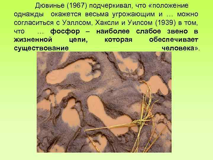 Дювинье (1967) подчеркивал, что «положение однажды окажется весьма угрожающим и … можно согласиться с