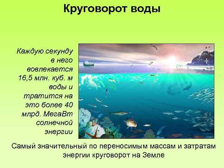 Круговорот воды Каждую секунду в него вовлекается 16, 5 млн. куб. м воды и