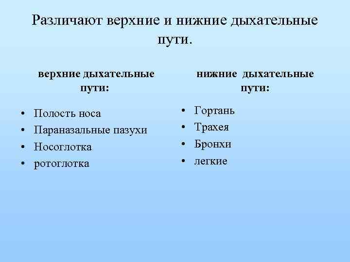 Различают верхние и нижние дыхательные пути. верхние дыхательные пути: • • Полость носа Параназальные