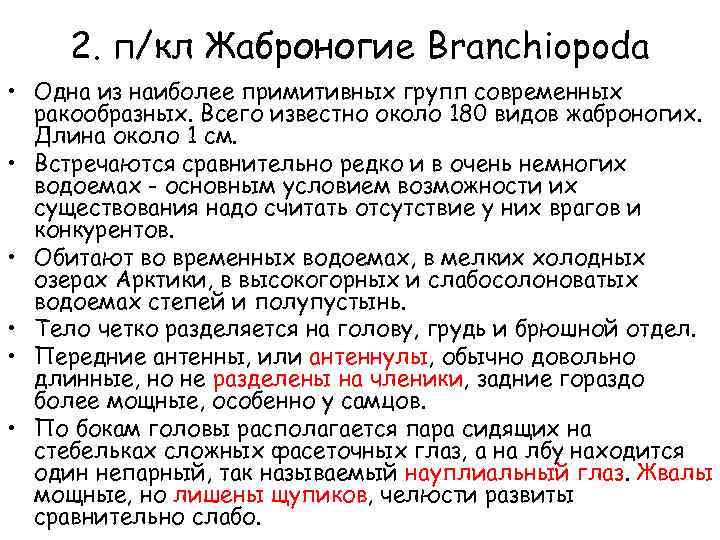 2. п/кл Жаброногие Branchiopoda • Одна из наиболее примитивных групп современных ракообразных. Всего известно