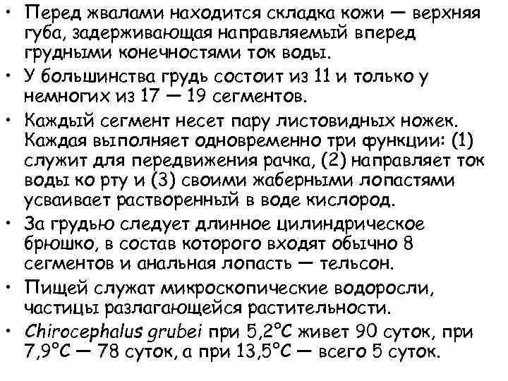  • Перед жвалами находится складка кожи — верхняя губа, задерживающая направляемый вперед грудными