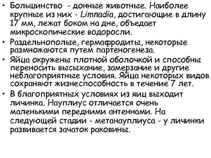  • Большинство - донные животные. Наиболее крупные из них - Limnadia, достигающие в