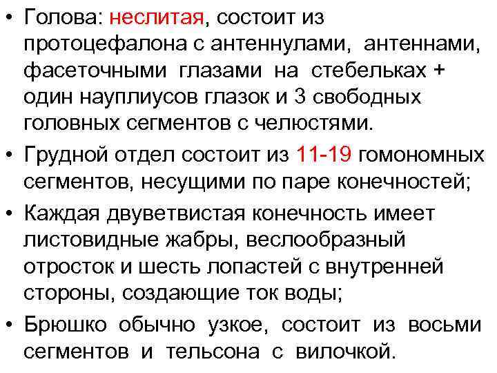  • Голова: неслитая, состоит из протоцефалона с антеннулами, антеннами, фасеточными глазами на стебельках