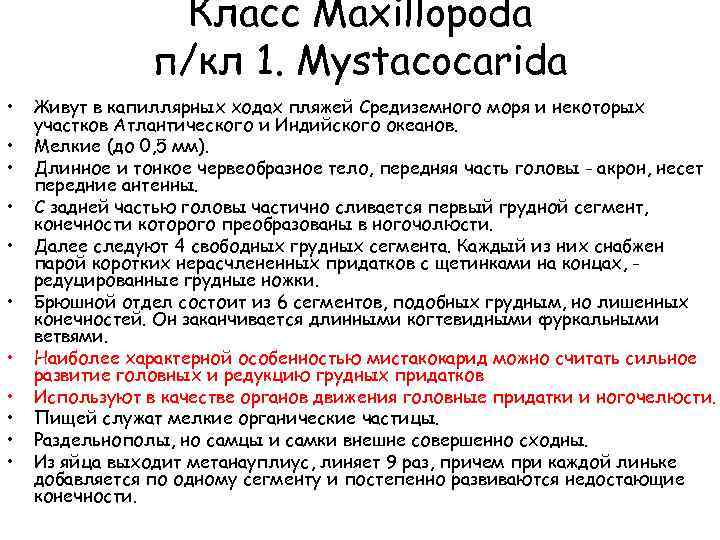 Класс Maxillopoda п/кл 1. Mystacocarida • • • Живут в капиллярных ходах пляжей Средиземного