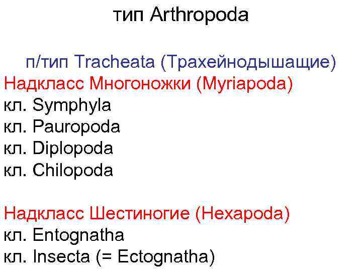 тип Arthropoda п/тип Tracheata (Трахейнодышащие) Надкласс Многоножки (Myriapoda) кл. Symphyla кл. Pauropoda кл. Diplopoda