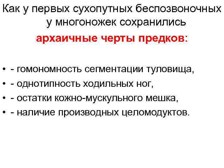 Как у первых сухопутных беспозвоночных у многоножек сохранились архаичные черты предков: • • -