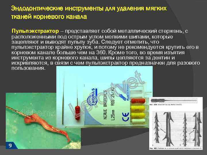 Эндодонтические инструменты для удаления мягких тканей корневого канала Пульпэкстрактор – представляет собой металлический стержень,