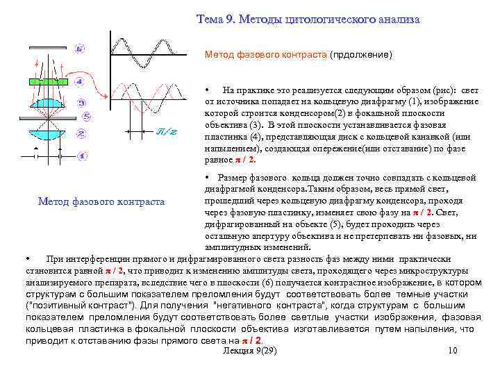 Метод 9 1 1. Метод фазового контраста. Метод фазового анализа. Амплитудно фазовый контраст. Амплитудный и фазовый контраст в оптической микроскопии.