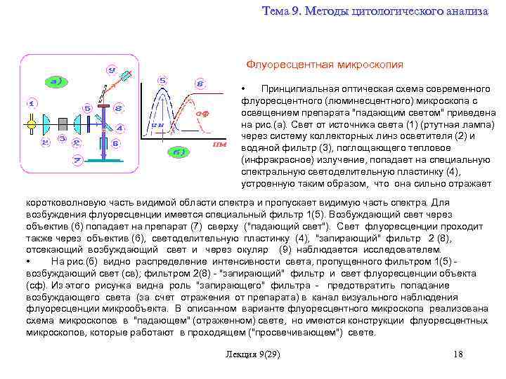 Преимущество использования световой микроскопии перед электронной