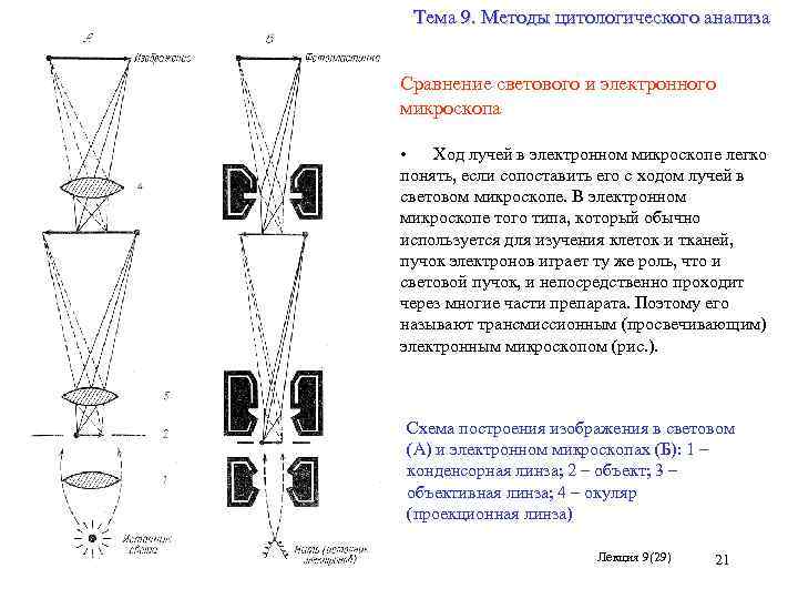 Схема хода лучей в микроскопе