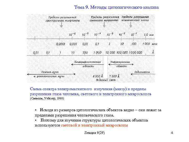 Тема 9. Методы цитологического анализа Схема спектра электромагнитного излучения (внизу) и пределы разрешения глаза
