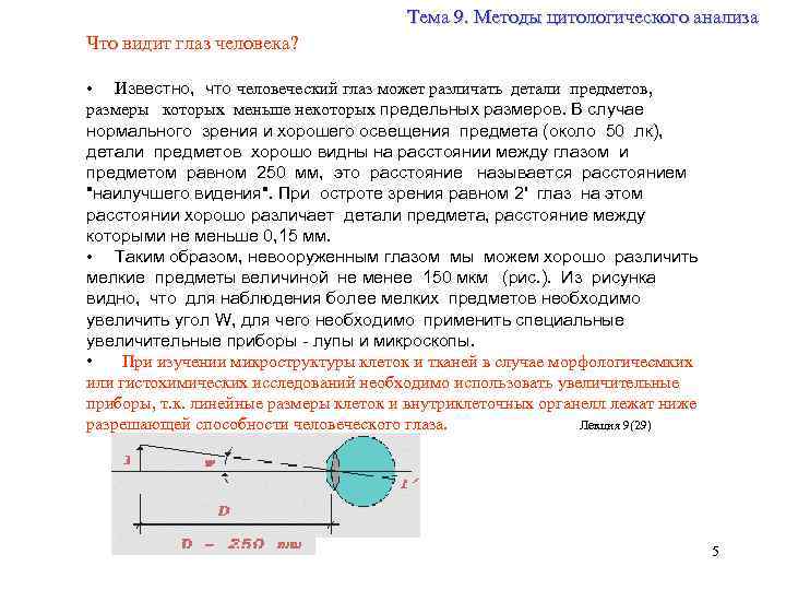 Тема 9. Методы цитологического анализа Что видит глаз человека? • Известно, что человеческий глаз