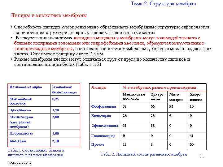 Тема 2. Структура мембран Липиды и клеточные мембраны • Способность липидов самопроизвольно образовывать мембранные