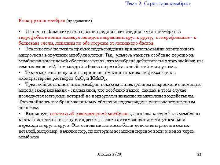 Тема 2. Структура мембран Конструкция мембран (продолжние) Липидный бимолекулярный слой представляет среднюю часть мембраны: