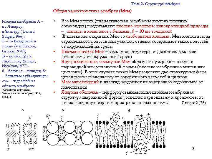 Физические модели мембран