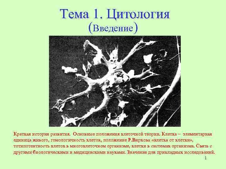 Дискуссионные проблемы цитологии 11 класс презентация