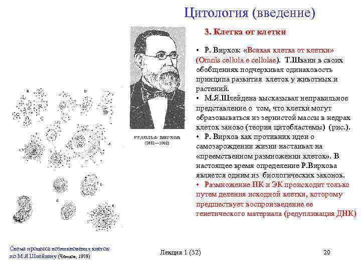 Кто является основателем цитологии