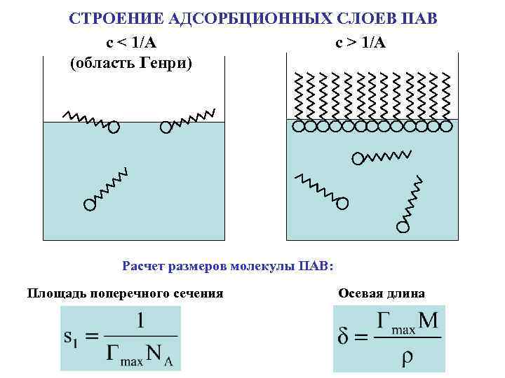 СТРОЕНИЕ АДСОРБЦИОННЫХ СЛОЕВ ПАВ с > 1/A с < 1/A (область Генри) Расчет размеров