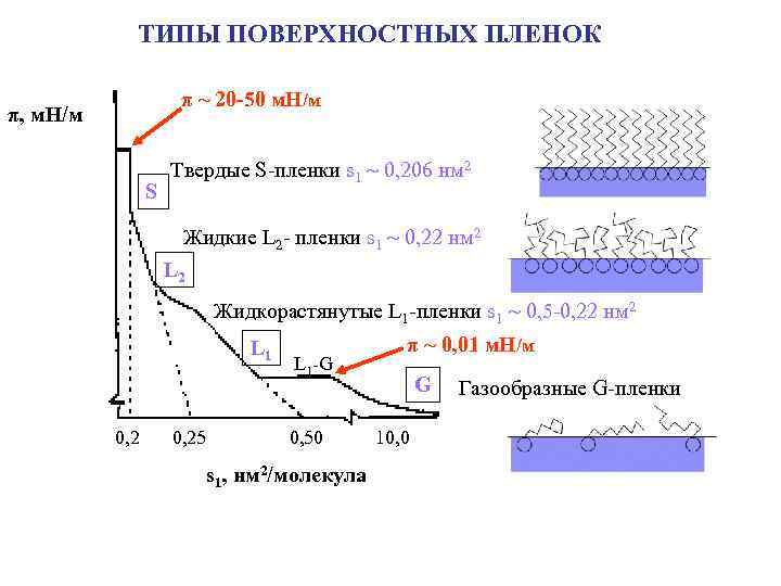 ТИПЫ ПОВЕРХНОСТНЫХ ПЛЕНОК π ~ 20 -50 м. Н/м π, м. Н/м S Твердые