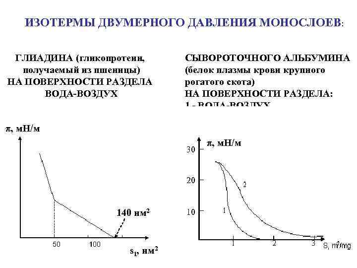 ИЗОТЕРМЫ ДВУМЕРНОГО ДАВЛЕНИЯ МОНОСЛОЕВ: ГЛИАДИНА (гликопротеин, получаемый из пшеницы) НА ПОВЕРХНОСТИ РАЗДЕЛА ВОДА-ВОЗДУХ π,