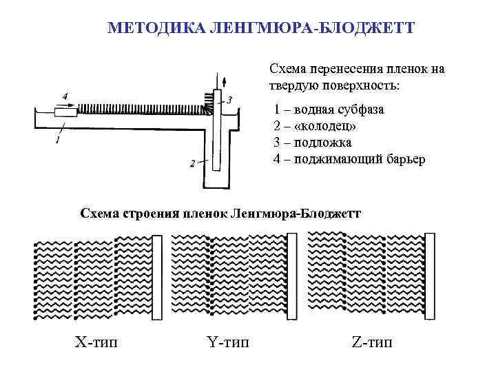 МЕТОДИКА ЛЕНГМЮРА-БЛОДЖЕТТ Схема перенесения пленок на твердую поверхность: 1 – водная субфаза 2 –