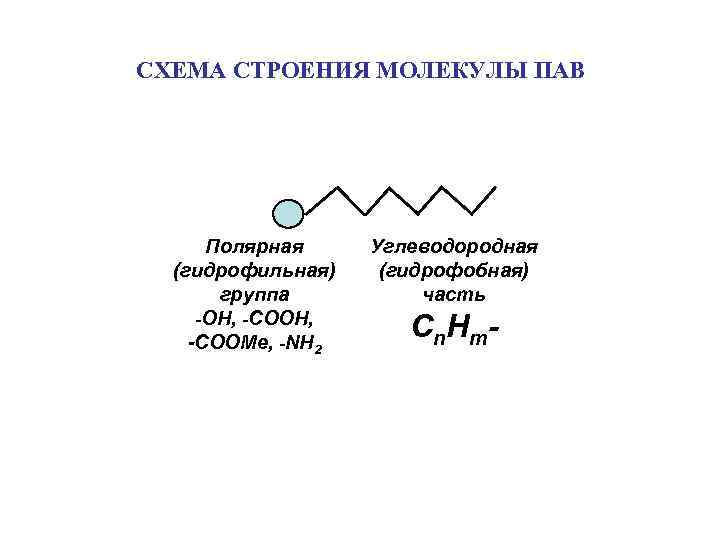 СХЕМА СТРОЕНИЯ МОЛЕКУЛЫ ПАВ Полярная (гидрофильная) группа -OH, -COOMe, -NH 2 Углеводородная (гидрофобная) часть