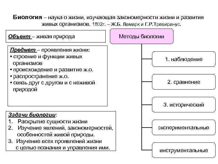 Жизненные закономерности. Закономерности в жизни человека. Способы реализации закономерностей жизни человека. Проявления закономерностей жизни. Биология наука о жизни изучающая закономерности.