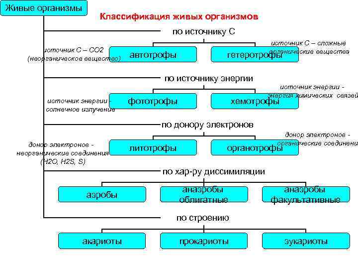 Принципы систематики организмов