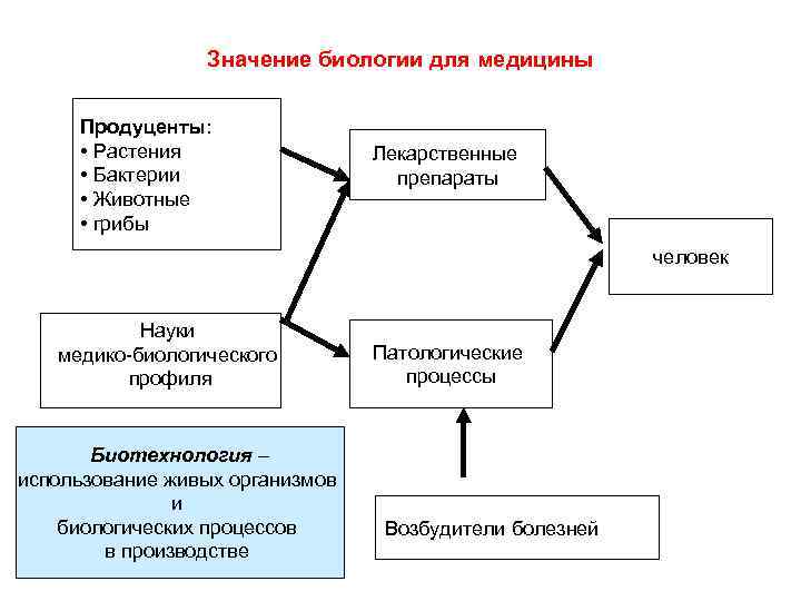 Биология наука о жизни ее закономерности