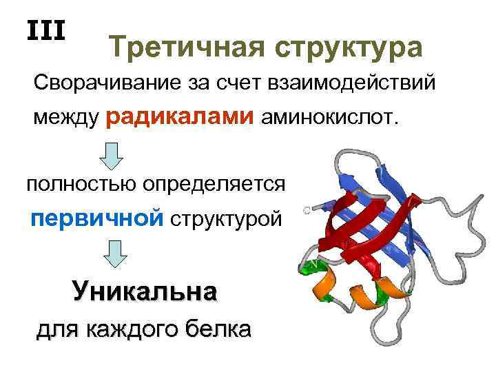 III Третичная структура Сворачивание за счет взаимодействий между радикалами аминокислот. полностью определяется первичной структурой