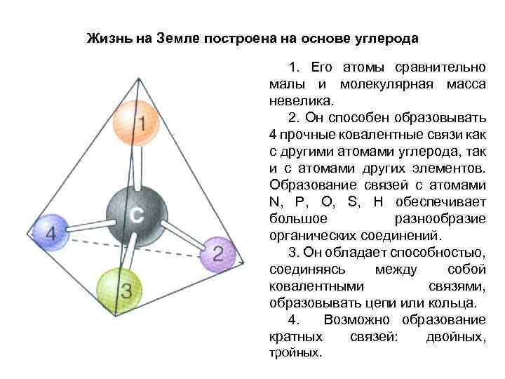 Жизнь на Земле построена на основе углерода 1. Его атомы сравнительно малы и молекулярная