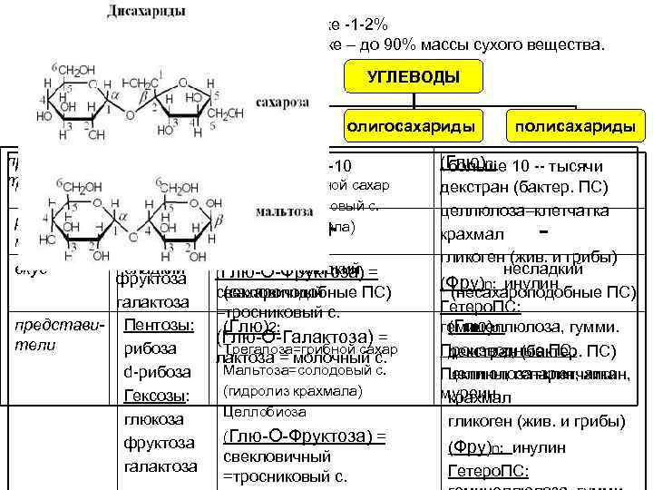 УГЛЕВОДЫ (сахариды) в жив. клетке -1 -2% в раст. клетке – до 90% массы