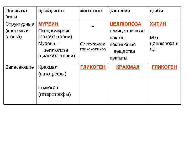 Полисахариды прокариоты животные растения Структурные МУРЕИН (клеточная Псевдомуреин стенка) (архебактерии) Муреин + целлюлоза (цианобактерии)