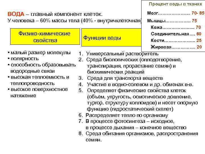 Процент воды в тканях ВОДА – главный компонент клеток. Мозг………………. . 70 - 85