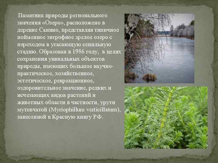  Памятник природы регионального значения «Озеро» , расположено в деревне Санино, представляя типичное пойменное