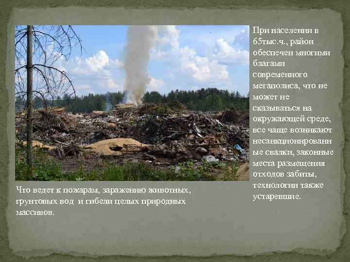 Что ведет к пожарам, заражению животных, грунтовых вод и гибели целых природных массивов. При