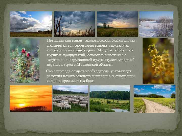  Петушинский район экологический благополучен, фактически вся территория района спрятана за густыми лесами заповедной