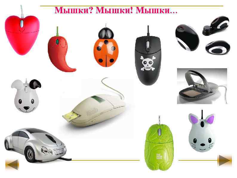 Мышки? Мышки! Мышки… 