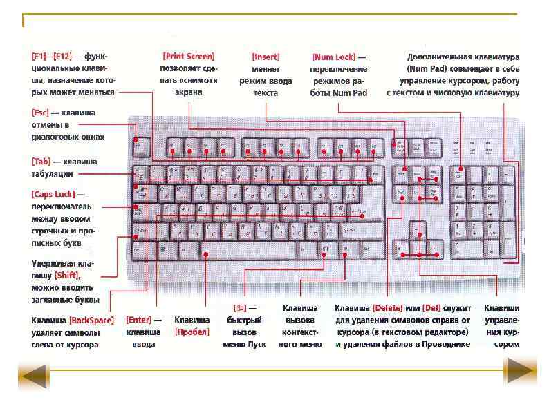 Определить раскладку. Что обозначают кнопки на клавиатуре компьютера. Значение кнопок на клавиатуре ноутбука. Кнопки на клавиатуре расшифровка на компьютер. Обозначение кнопок на клавиатуре ноутбука ASUS.