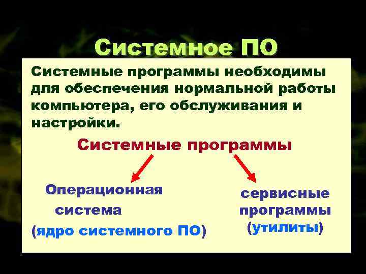 Системное ПО Системные программы необходимы для обеспечения нормальной работы компьютера, его обслуживания и настройки.