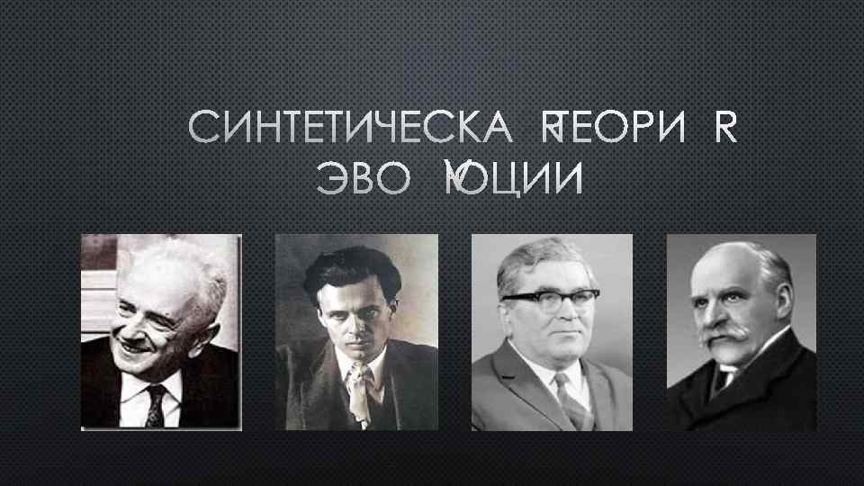 СИНТЕТИЧЕСКАЯ ТЕОРИЯ ЭВОЛЮЦИИ 