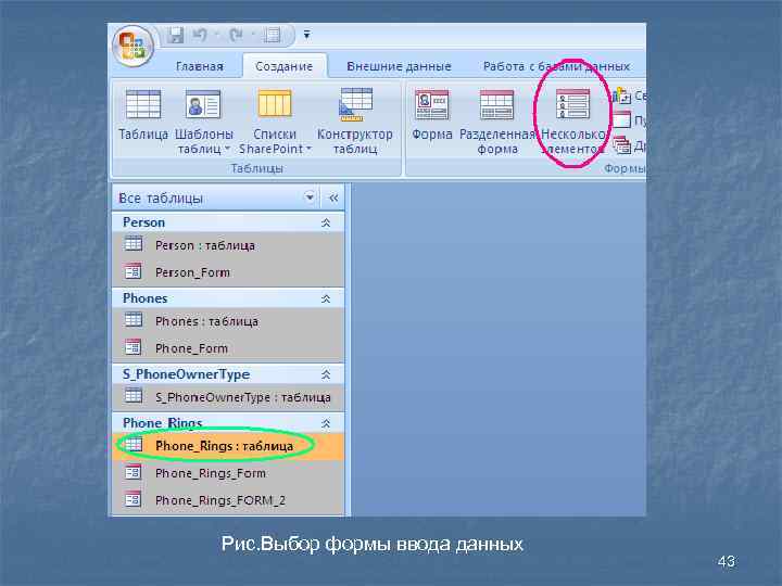 Рис. Выбор формы ввода данных 43 