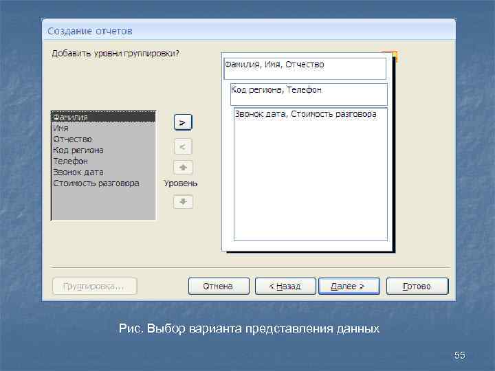 Рис. Выбор варианта представления данных 55 