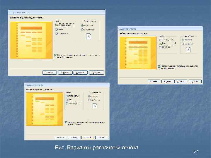 Рис. Варианты распечатки отчета 57 