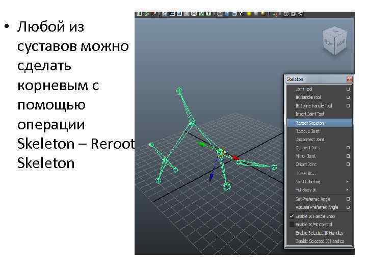  • Любой из суставов можно сделать корневым с помощью операции Skeleton – Reroot