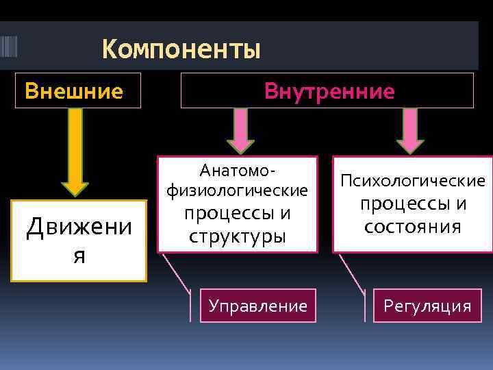 Компоненты Внешние Внутренние Анатомофизиологические Движени я процессы и структуры Управление Психологические процессы и состояния