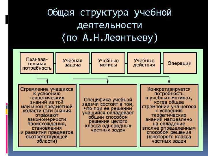 Общая структура учебной деятельности (по А. Н. Леонтьеву) 